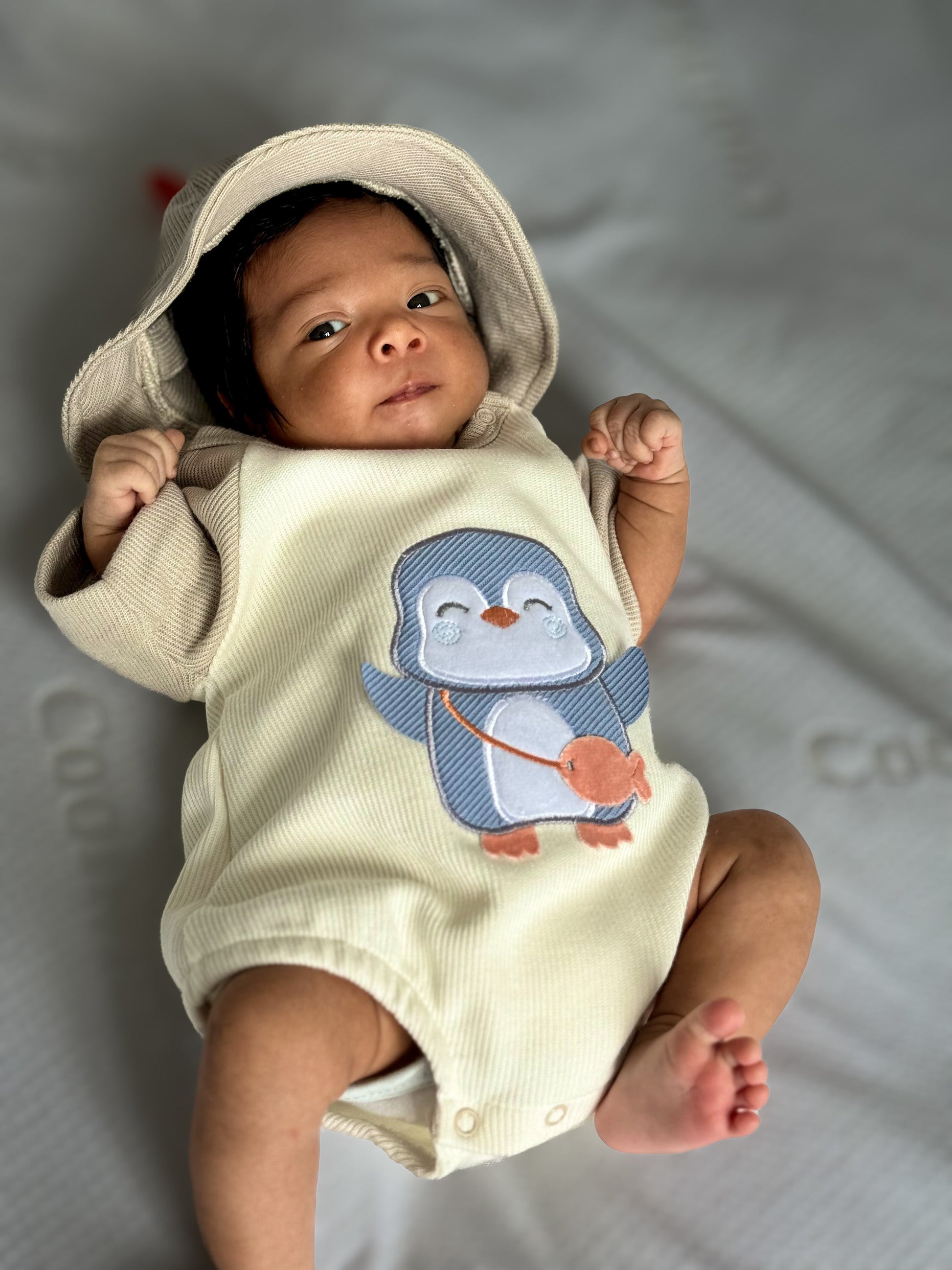 PINGUI - BoutiqueMundoMaterno