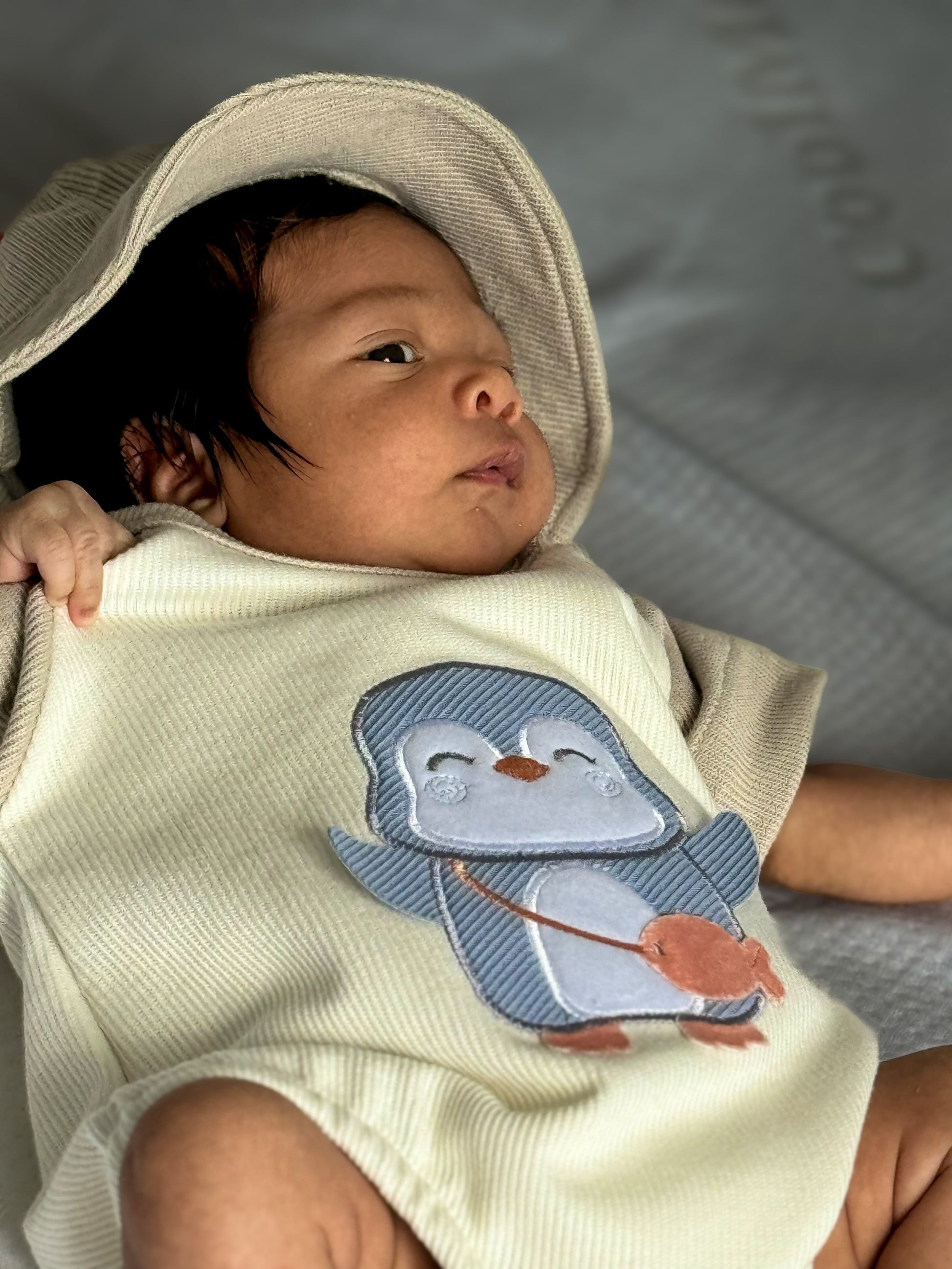 PINGUI - BoutiqueMundoMaterno