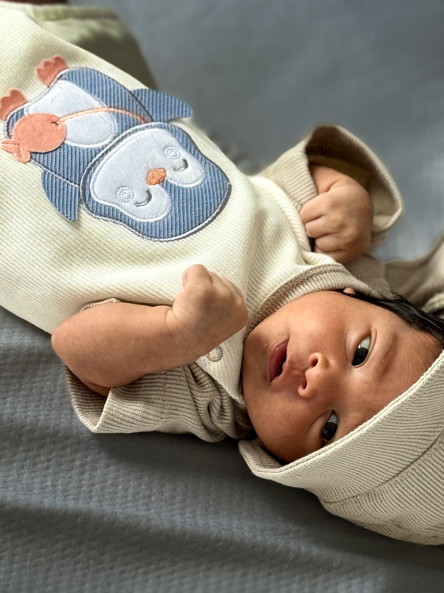 PINGUI - BoutiqueMundoMaterno