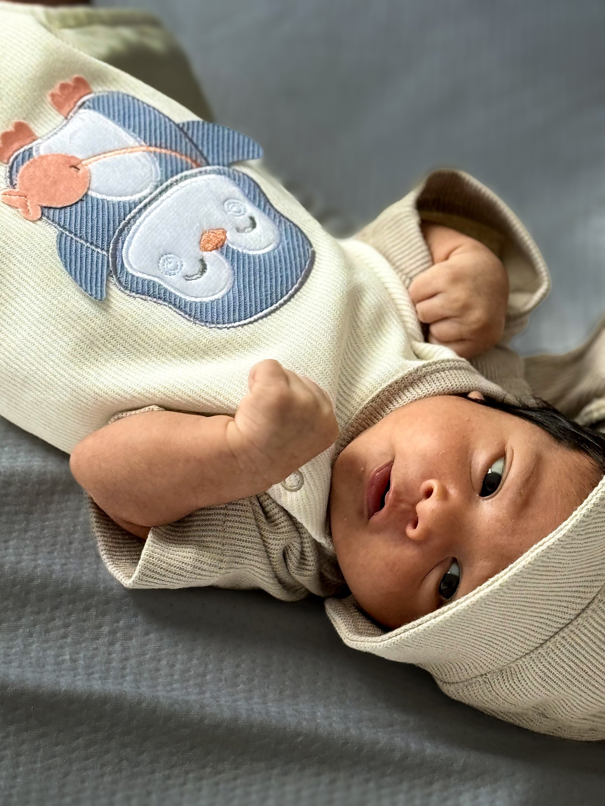 PINGUI - BoutiqueMundoMaterno