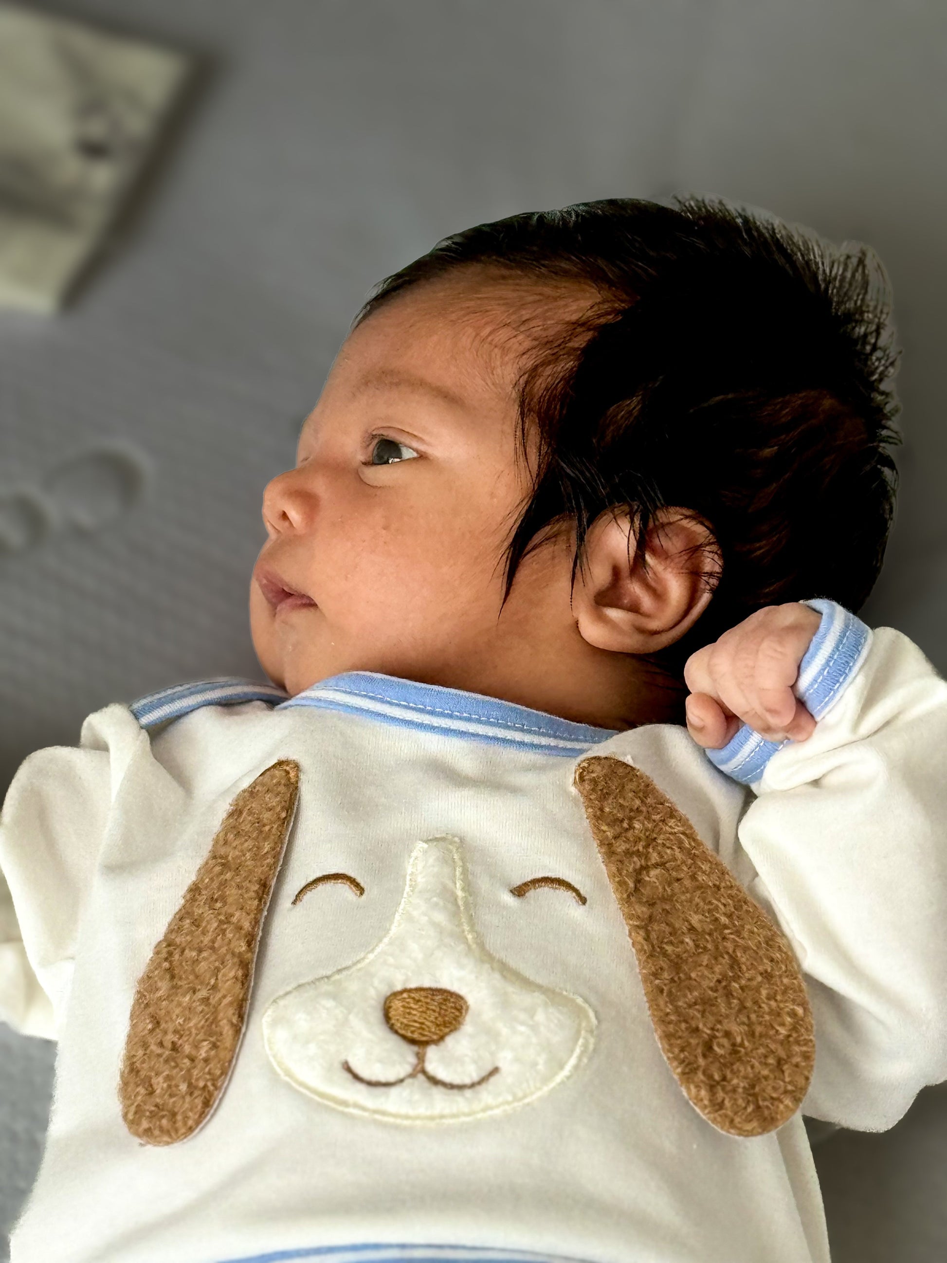 CONJUNTO COCKER - BoutiqueMundoMaterno