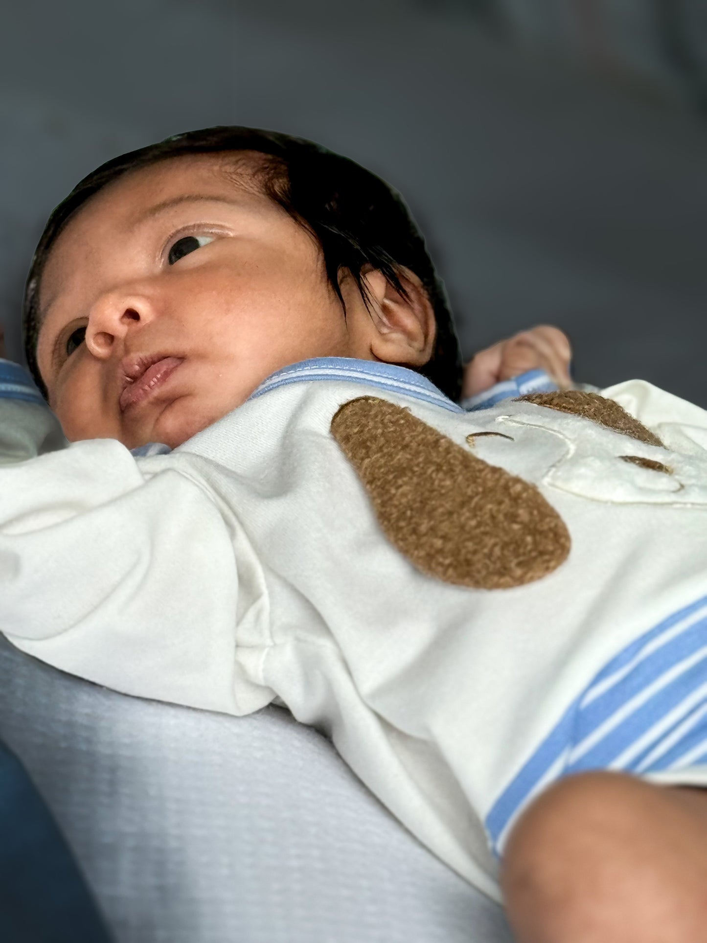 CONJUNTO COCKER - BoutiqueMundoMaterno